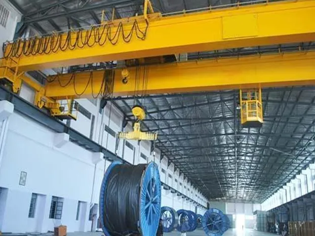  Double Girder EOT Cranes